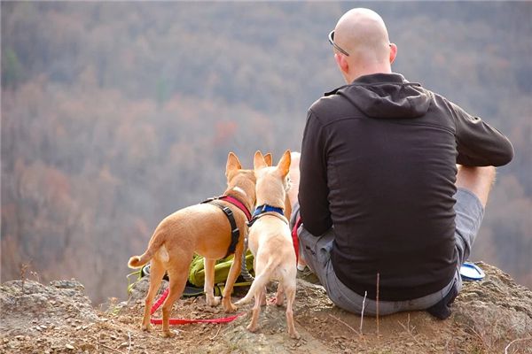 Nằm mơ thấy người đàn ông hói đầu