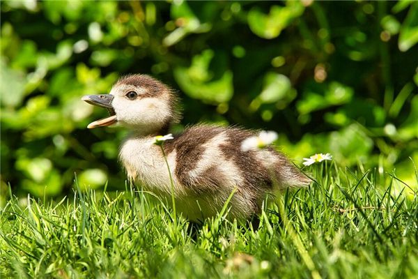 Bí mật trong giấc mơ của phụ nữ, nó phụ thuộc vào số lần bạn chụp