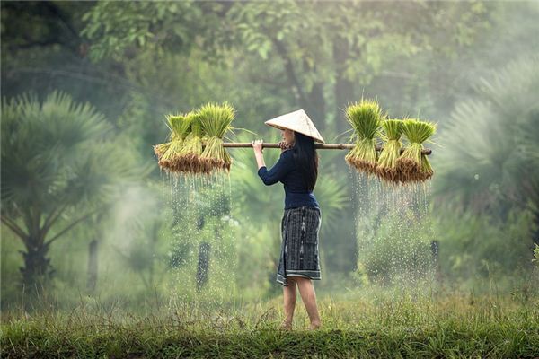 Nằm mơ thấy làm việc chăm chỉ có ý nghĩa gì?