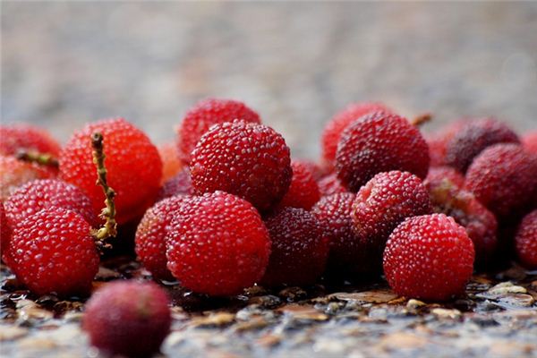 Nằm mơ thấy bayberry có ý nghĩa gì?