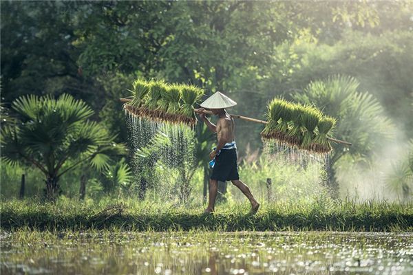 Nằm mơ thấy nông dân có ý nghĩa gì