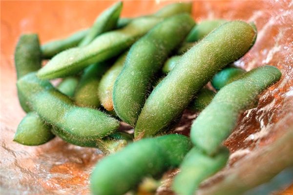 Nằm mơ thấy edamame có ý nghĩa gì?