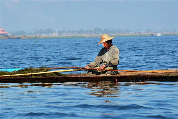 Nằm mơ thấy chèo bè tre có ý nghĩa gì?