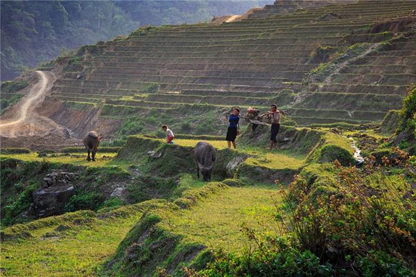 Nằm mơ thấy hành động hàng ngày có ý nghĩa gì?