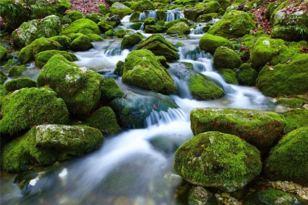 Nằm mơ thấy không có nơi nào để đi có ý nghĩa gì?